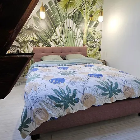 L'echappee Sauvage-t3-wifi- Queen Size Apartment Montlucon