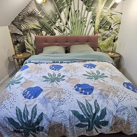 Apartament L'echappee Sauvage-t3-wifi- Queen Size *